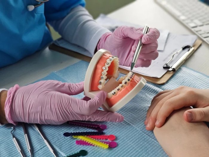 A dentist holding a model of braces on teeth in their hands, explaining the treatment and braces cost in Oakville to a patient.